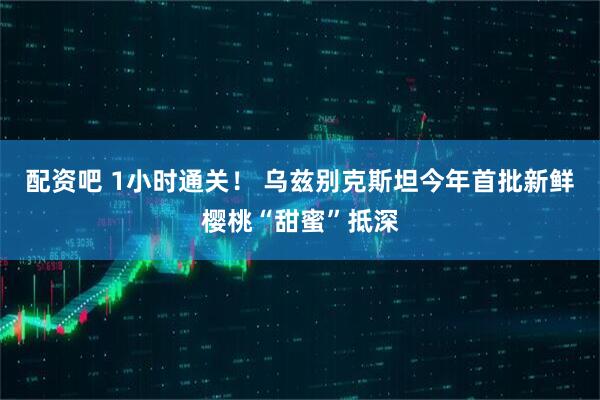 配资吧 1小时通关！ 乌兹别克斯坦今年首批新鲜樱桃“甜蜜”抵深