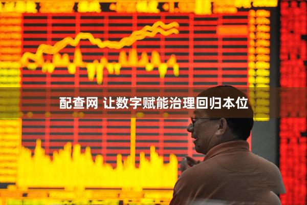 配查网 让数字赋能治理回归本位