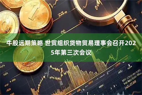 牛股远期策略 世贸组织货物贸易理事会召开2025年第三次会议