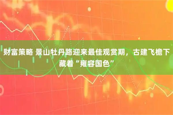 财富策略 景山牡丹路迎来最佳观赏期，古建飞檐下藏着“雍容国色”